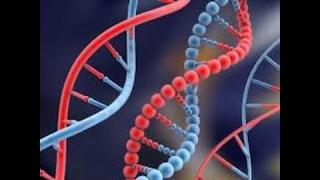 Самоисцеление и активация ДНК